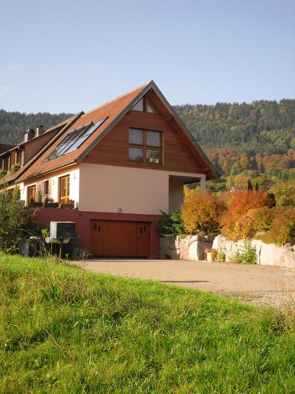 Gites Du Taennchel Thannenkirch Kültér fotó