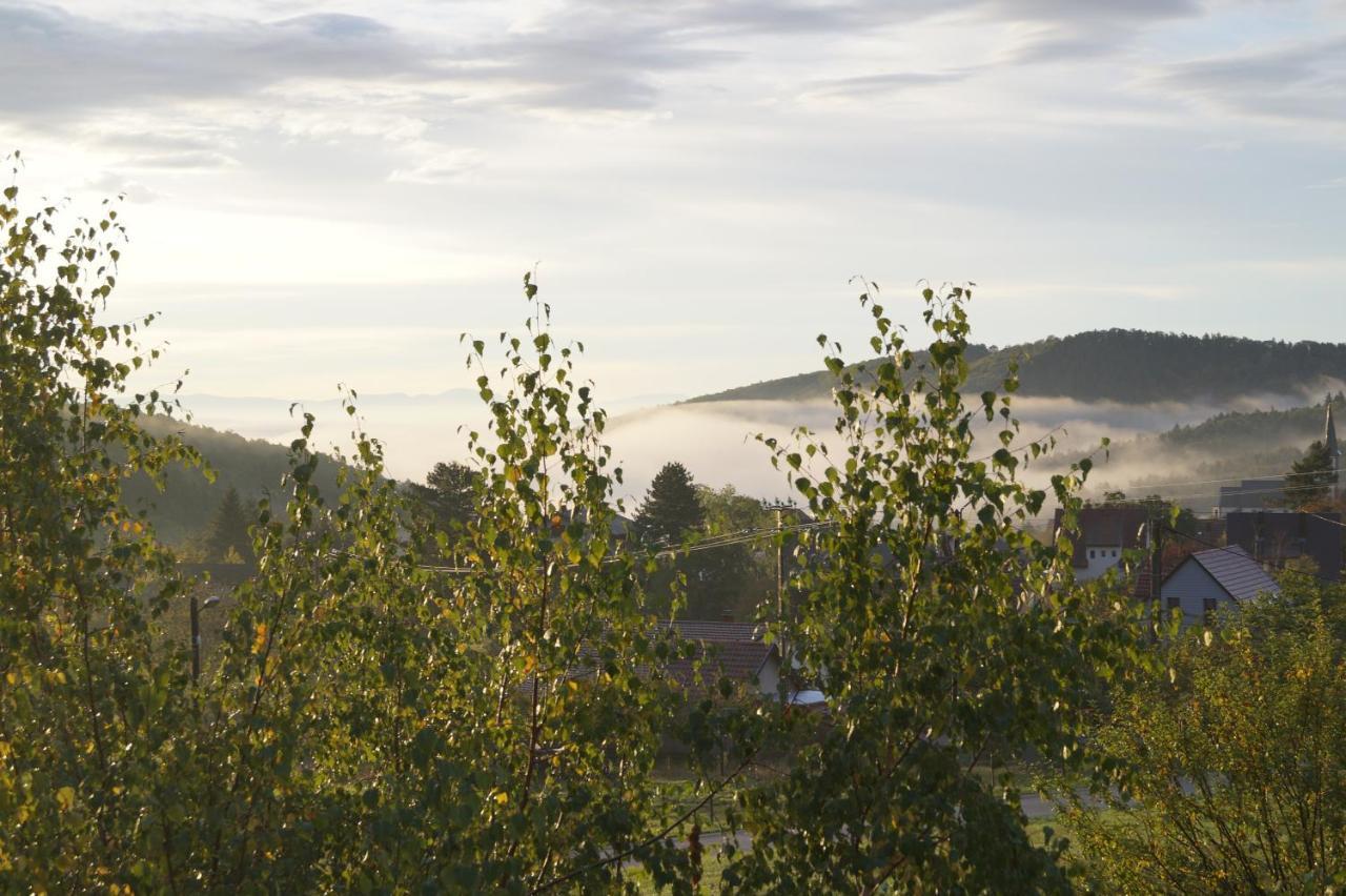 Gites Du Taennchel Thannenkirch Kültér fotó